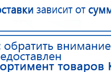 СКЭНАР-1-НТ (исполнение 01)  купить в Абакане, Аппараты Скэнар купить в Абакане, Медицинский интернет магазин - denaskardio.ru